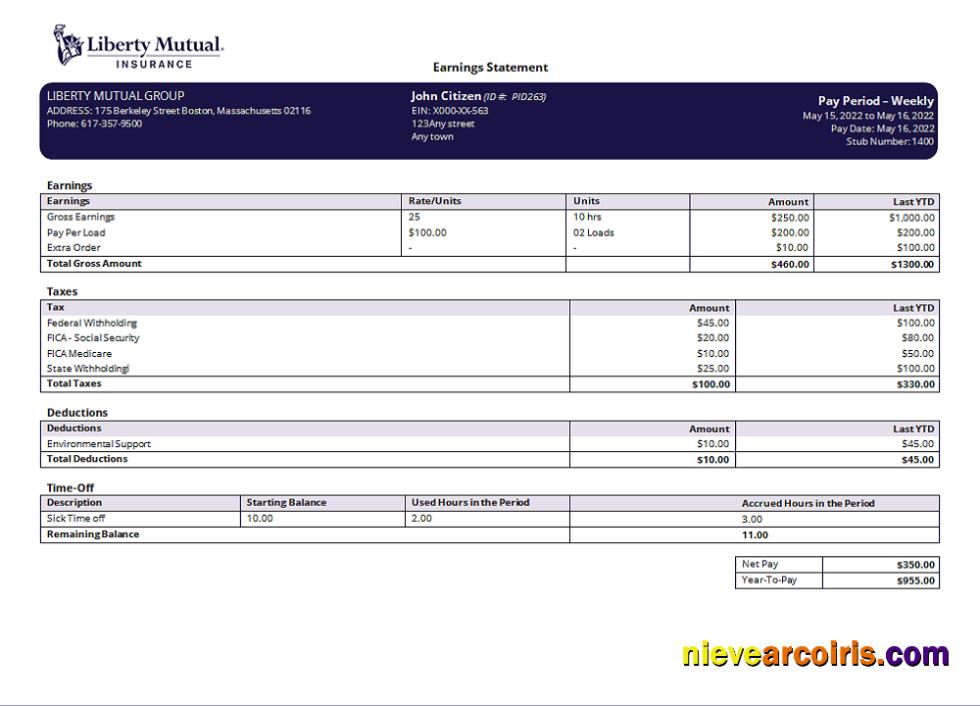 USA insurance company earning statement, version 2